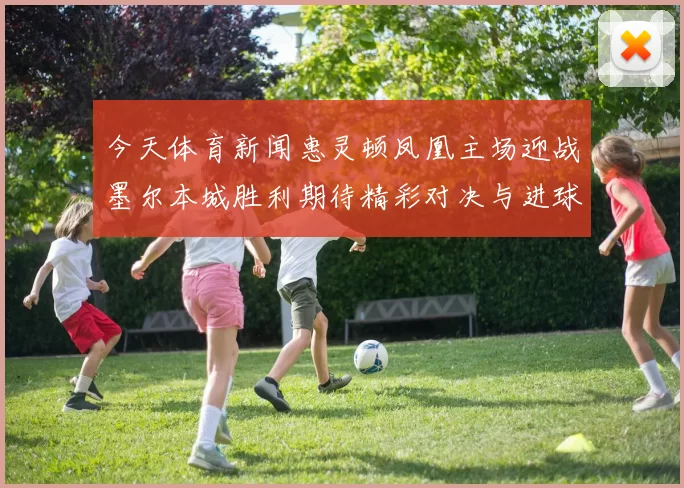 今天体育新闻惠灵顿凤凰主场迎战墨尔本城胜利期待精彩对决与进球盛宴